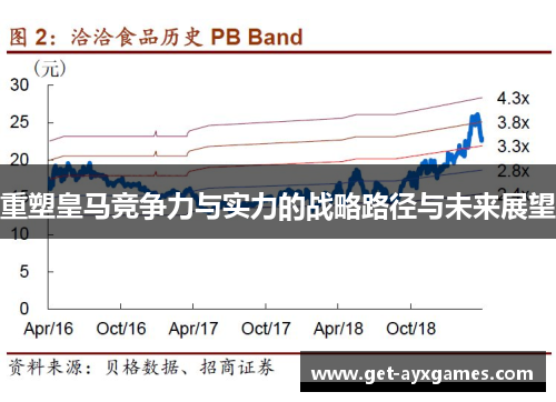 重塑皇马竞争力与实力的战略路径与未来展望