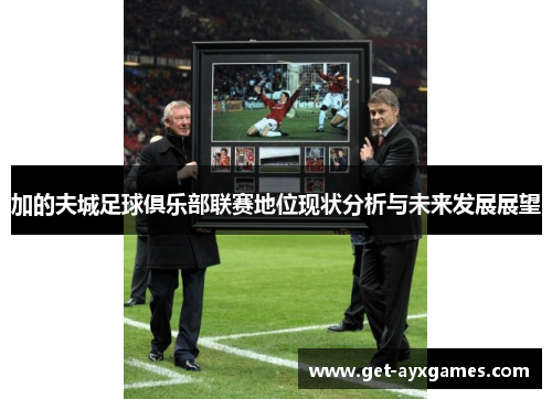 加的夫城足球俱乐部联赛地位现状分析与未来发展展望