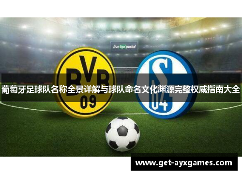 葡萄牙足球队名称全景详解与球队命名文化渊源完整权威指南大全